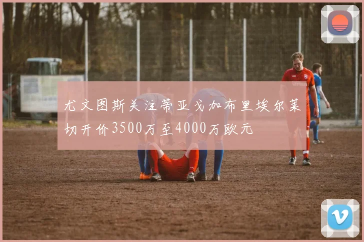 尤文图斯关注蒂亚戈加布里埃尔莱切开价3500万至4000万欧元
